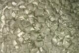 Natural Pyrite Concretion - China #142965-1